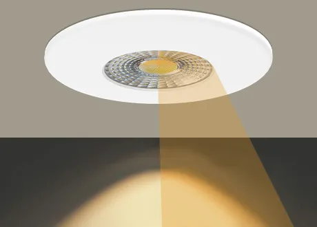 The light is distributed uniformly and softly.
