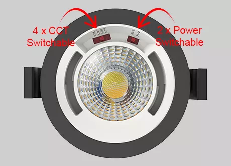4CCT Switchable