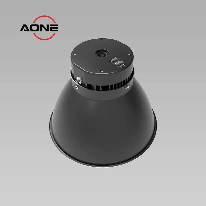LB01 Picture 5