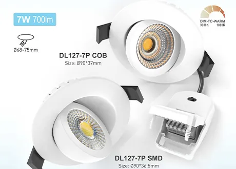 Metal Surface , COB style and SMD style LED DOWNLIGHT
