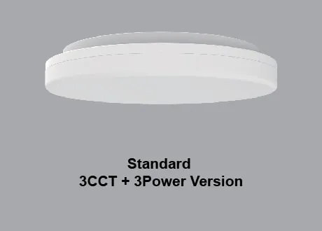 ceiling light high efficiency