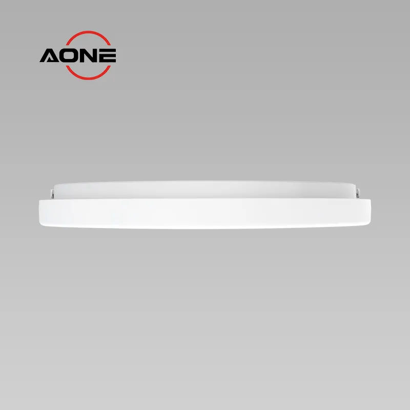 CL42 Picture 4.jpg