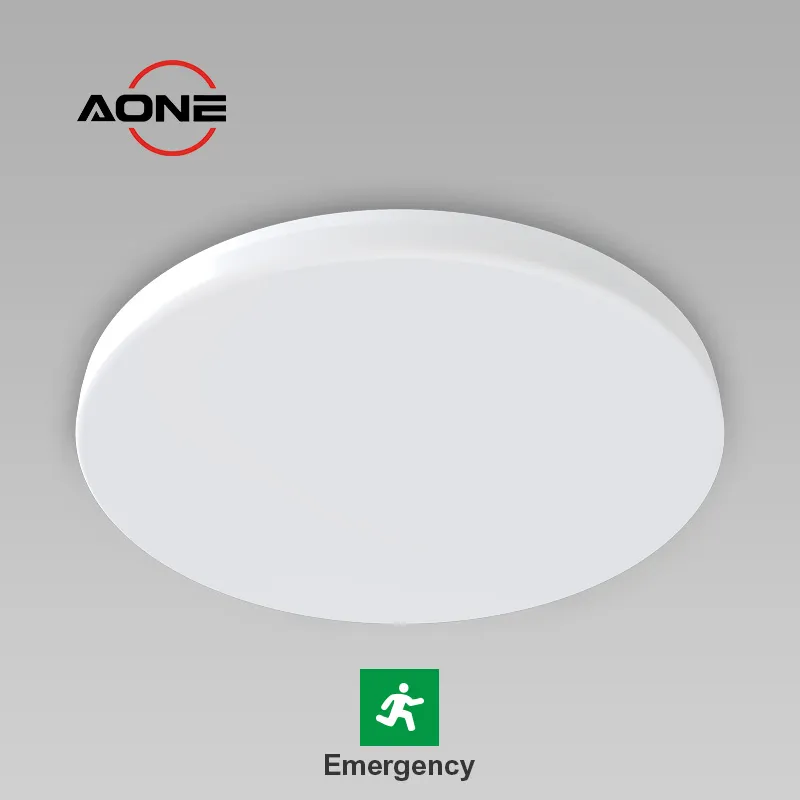 Emergency >90minutes Ceiling Light Dia420mm IP54 Slim CL42-EM