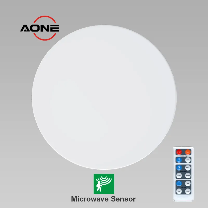 CL42 Microwave Sensor Picture 2