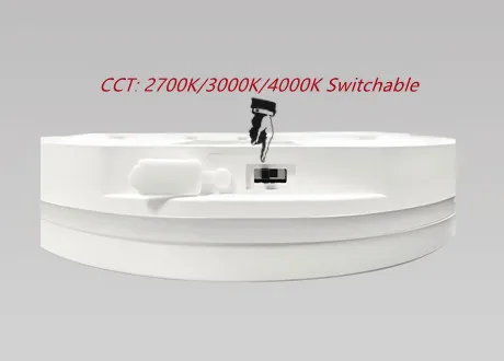 Push buckle ceiling lights