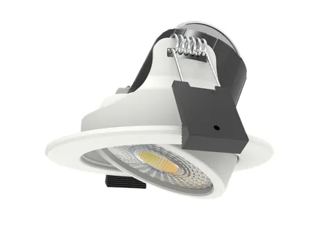 downlight bezel changeable