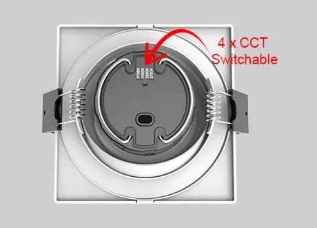 downlight spotlight CCT switchable