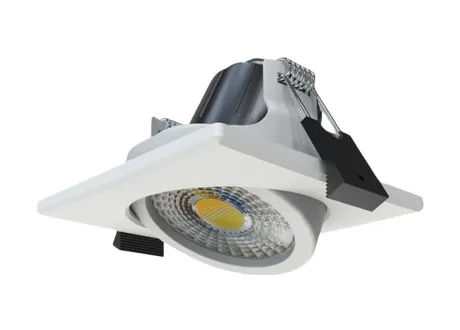 tiltable downlight/spotlight