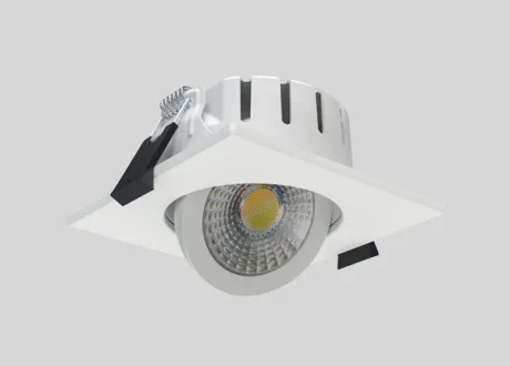 tiltable downlight/spotlight