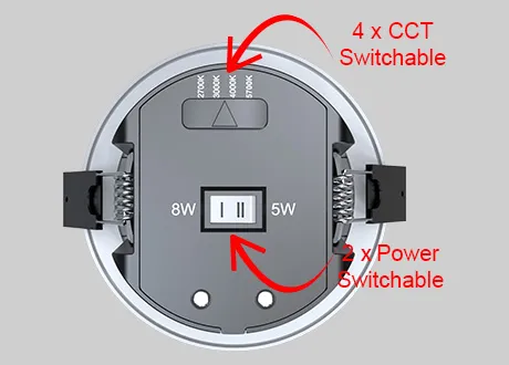 downlight spotlight CCT and power switchable