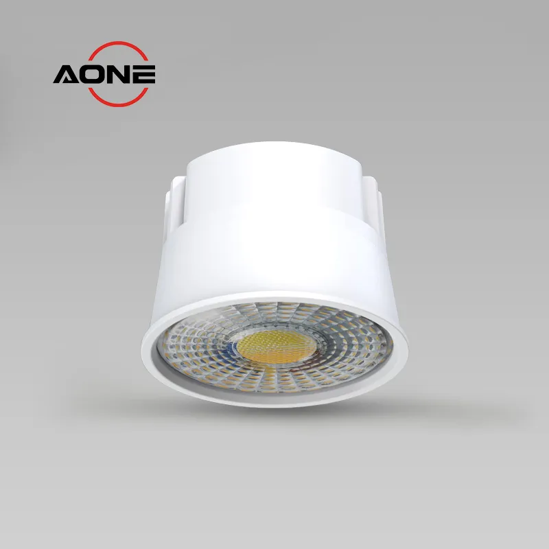 Modular downlight Multi-functional Dual power 3CCT DL67
