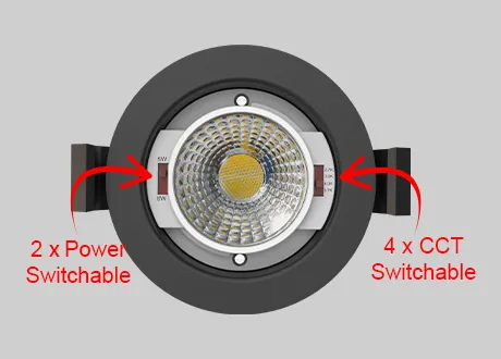 4CCT Switchable