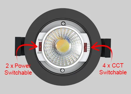 4CCT Switchable