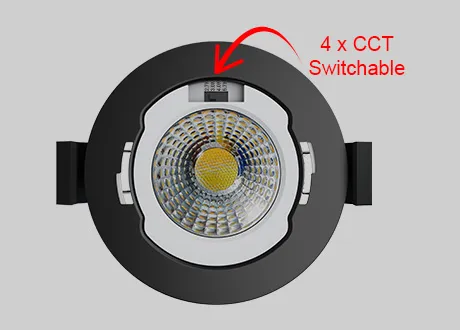 4CCT Switchable