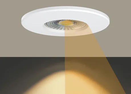 downlight lumens