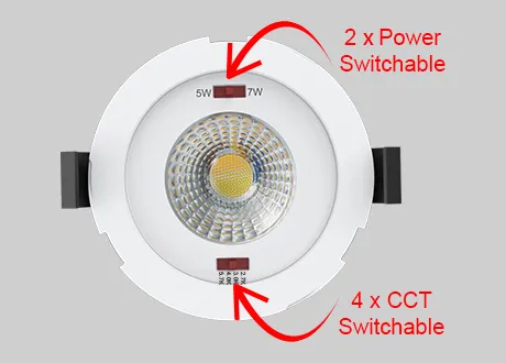 downlight spotlight CCT and power switchable