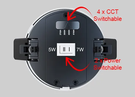 smart spring downlight