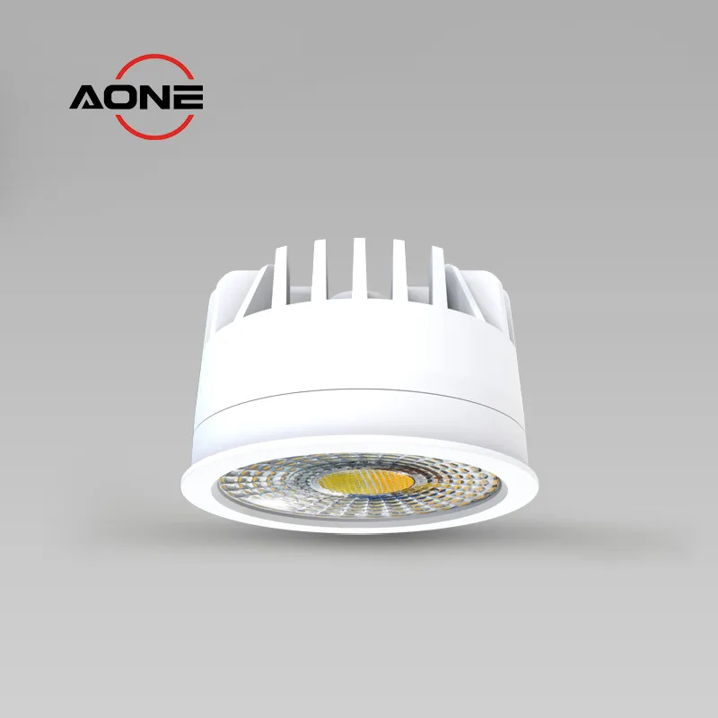 Modular downlight Multi-functional 3CCT DL69