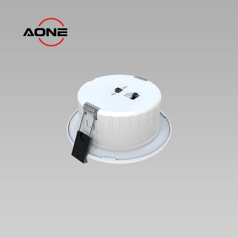 DL198-110 Picture 5.jpg