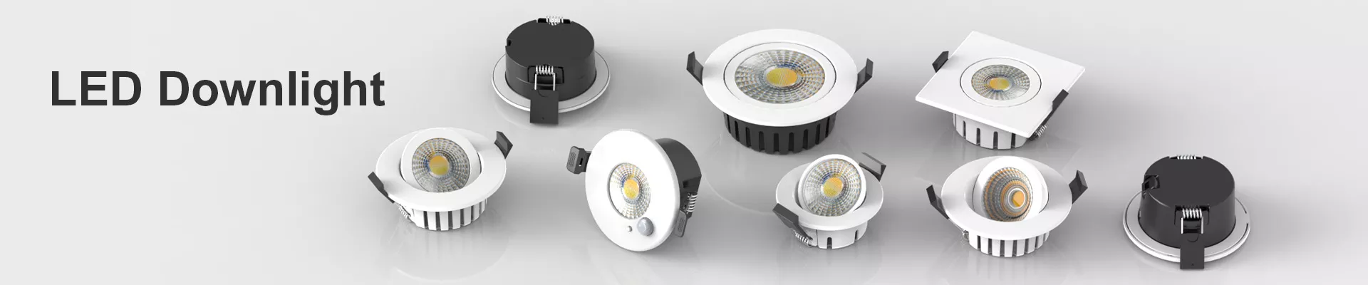 LED Downlight