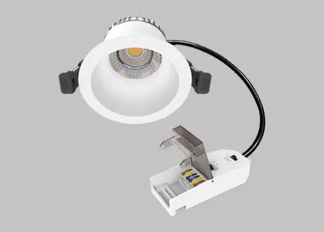downlight isolate driver loop in/out terminal