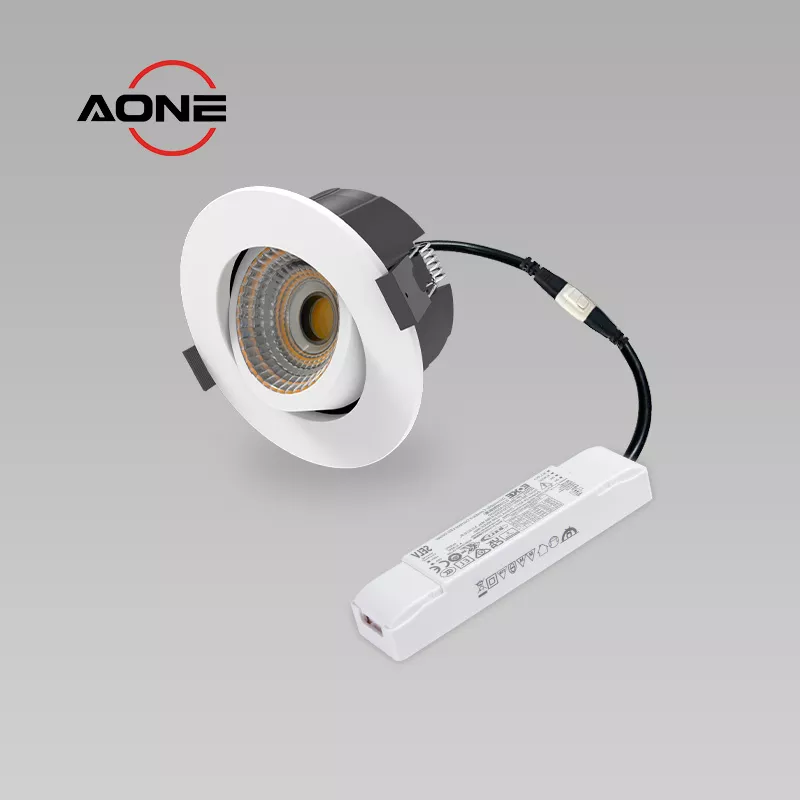 Downlight Adjustable DALI Dimming Airtight RE2020 COB CRI>90+ DL164 