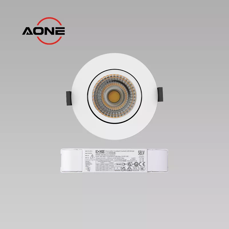 Downlight Adjustable DALI-2