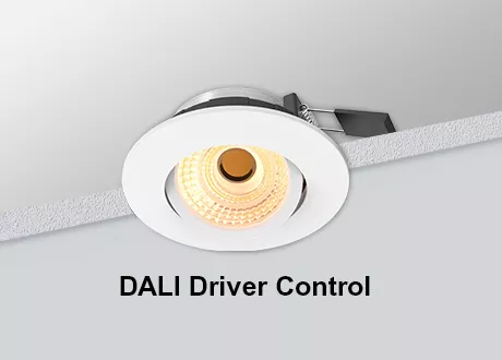 DALI Downlight Tiltable COB Dimmable