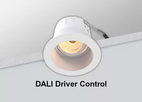 DALI Downlight Tiltable COB Dimmable