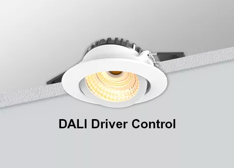 DALI Downlight Tiltable COB Dimmable