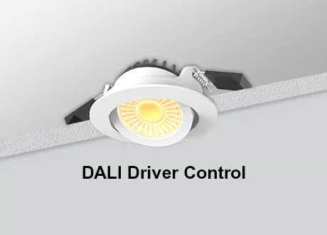 DALI Downlight Tiltable COB Dimmable