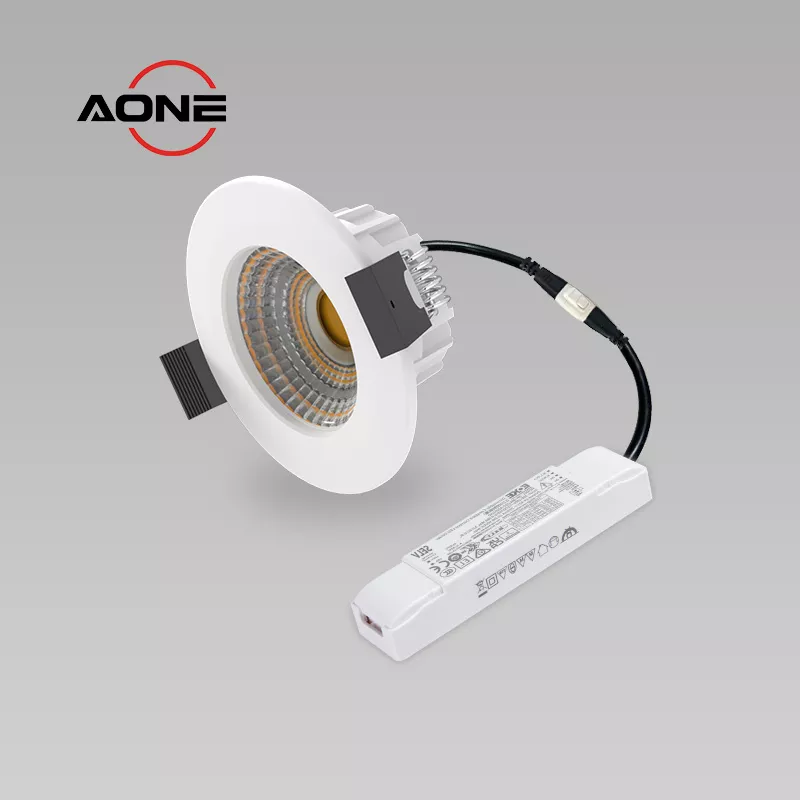  IP65 Small Downlight 3CCT DALI Dimming Full Aluminum CRI>90+ Dia75mm DL169