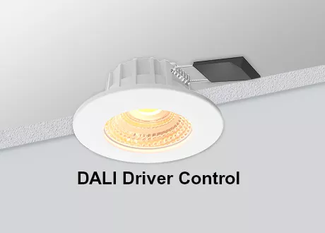 DALI Small Downlight